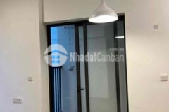 Bán căn hộ 46m2 lake2 ecopark cho thuê được ngay