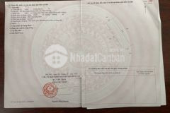 Bán cặp trọ ngay trung tâm phường tân định 10x20m