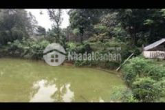 Đất xã đồng luận cũ giá rẻ