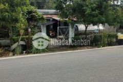 Đẹp đầu tư 346m2 shr tân an hội 1 25 tỷ