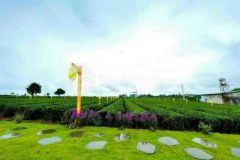 Chú cần tiền xây nhà muốn bán lô đất dt 5000m2