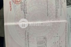 Bán nhà cấp 4 phú hòa đông 3ty 262m2