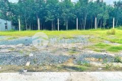 Bán gấp lô đất 10x60 có thổ cư 370triệu m ngang