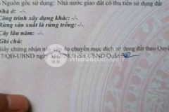 Cần bán đất dt 4x13 hẻm nguyễn văn quì p phú thuân