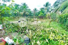 Bán đất mỹ lợi mỹ phong tp mỹ tho