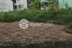 Nền đẹp đoạn ngoài phan trọng tuệ diệu hiền 3 4tỷ