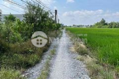 Đất lúa đường đá xanh 3m cách cây xăng cầu voi 1km