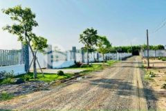 Bán gấp 1029m2 phước hội đất đỏ ngay gần đường ngu