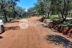 Tôi cần bán đất 95tr1000m2