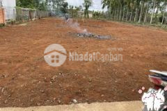 Đất hòa thuận siêu đẹp siêu dài siêu rẻ