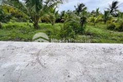 Bán đất nền giá rẻ xã hưu định tp bến tre