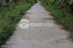 Đất vườn xã phong nẫm huyện giong trôm tp bến tre