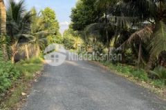 Đất mặt tiền đường trần thị thơm