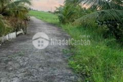 Đất thổ xã tân bình hàng fo nhanh tay