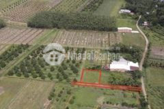 Đất vườn chính chủ giá rẻ ngay sát kcn chỉ 1 5km