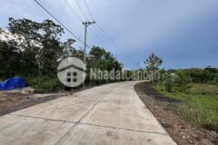 1000m2 đất sào ấp 3 phú lợi