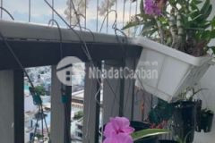 Bán căn hộ tầng 17 chung cư carillon 5