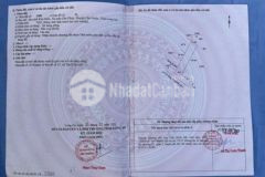Bán nền tân kim sổ thể hiện lối đi giá tốt