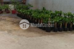 Cần bán đất mặt tiền đường tân xuân 3