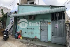 Bán đất tặng dãy trọ 8 phòng hxh đường 494 tnpa