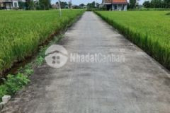 Đất thổ cư hẻm xe hơi 10x55m nh 12m giá 2 45 tỷ