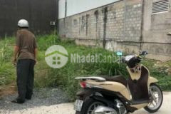 Đất thổ cư apd 8 1x20