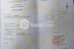 5 3 triệu m ngang đường nhựa full hồng