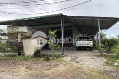 Bán đất tặng nhà dt 20m x 50m có 200tc và nhà c4