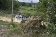 Bán đất cây trồng sát bên phan thiết