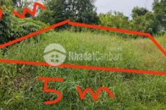 Đất giấy tay xã tân thành cà mau