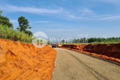 Đất biển cây lâu năm sát đường liên huyện 32m