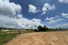 Siêu phẩm đất nghĩ dưỡng view chùa ấn độ suối ôm quanh đất tại đơn dương lâm đồng ven tp đà lạ