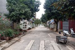 Ban gâp trong tuân 40m2 đât tai đinh cư trâu quy, gia lâm, gia re 97trm2.