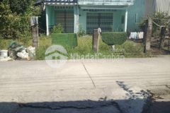 Bán nhà cấp 4 tại xã lương tâm, huyện long mỹ,tỉnh hậu giang