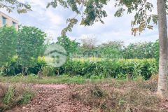 Bán nền tđc nhơn nghĩa đường số 4, phong điền, tpct