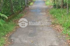 Cần bán 23.000m2 đất lúa xã long bình, huyện long mỹ, hậu giang