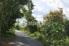 Địa chỉ xã lương nghĩa, huyện long mỹ, tỉnh hậu giang