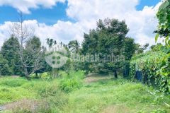 Bán đất nghĩ dưỡng thuộc tân thới, phong điền, tpct