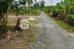 Bán 2 nền liền kề, lộ nhựa 2m, thuộc ấp 2, thị trấn vĩnh viễn, huyện long mỹ, tỉnh hậu giang