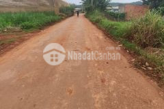 Siêu phẩm gía f0 dành cho nhà đầu tư tại trục chính đường suối thông b đơn dương lâm đồng