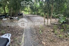 Cần bán 16.549,4m2 đất 2 mặt tiền lộ 2m kênh thủy lợi thuộc ấp 12, xã vĩnh viễn, huyện long, tỉnh hậ