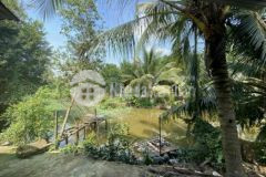 Nhà vườn rất đẹp xã tân nhựt cần bán