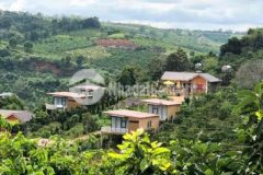 Đất tt nam ban 510m2 sẵn 100m2 tc cách nhựa 450m