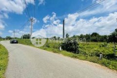 Đất chuẩn phân lô suối rao 480m ont 180m mt nhựa