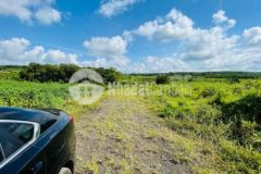 Đất bình trung 150m mt đường đang ủi làm nhựa