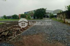 Đất lúa có thổ mặt tiền 834