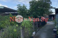 Đất 1 tân hiệp 04 hóc môn dt 241m2 shr giá 3tỷ2tl