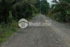 13 000mv tiếp giáp mặt đường 150m 480tr1000