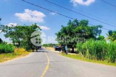 Đất mặt tiền đường tỉnh lô 785