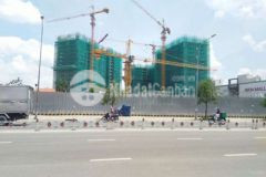 Pkd aio city cdt chính thức booking
